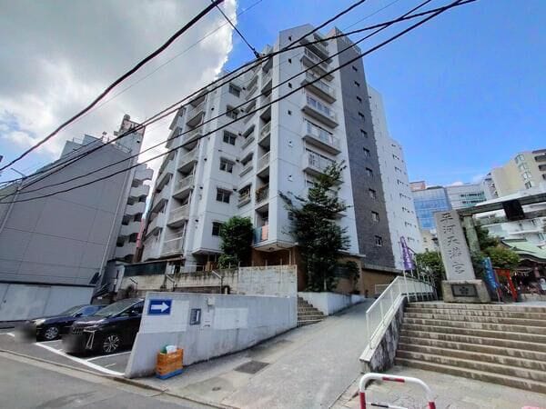 ヴィラロイヤル平河 外観・周辺環境