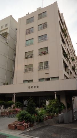 番町ヴィラ エントランス・共用部 番町ヴィラ エントランス・共用部