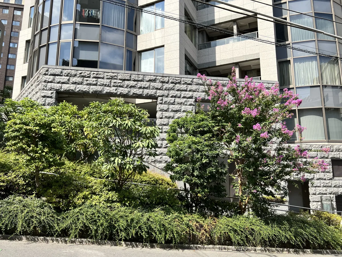 シエルトーレ三番町